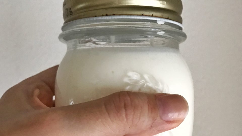 Como cuidar do seu kefir